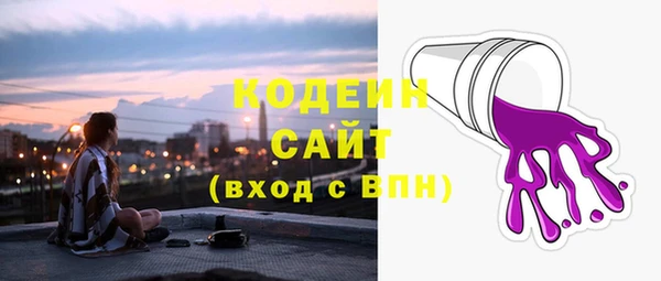 ПСИЛОЦИБИНОВЫЕ ГРИБЫ Кулебаки