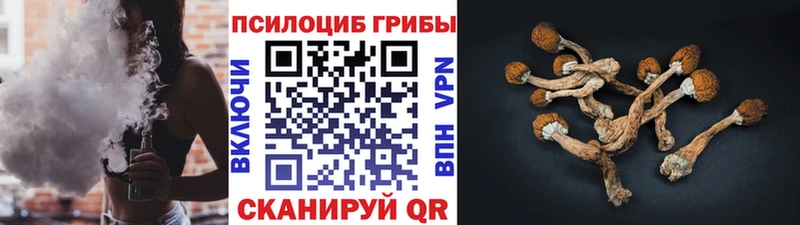 Галлюциногенные грибы мухоморы  Шлиссельбург 